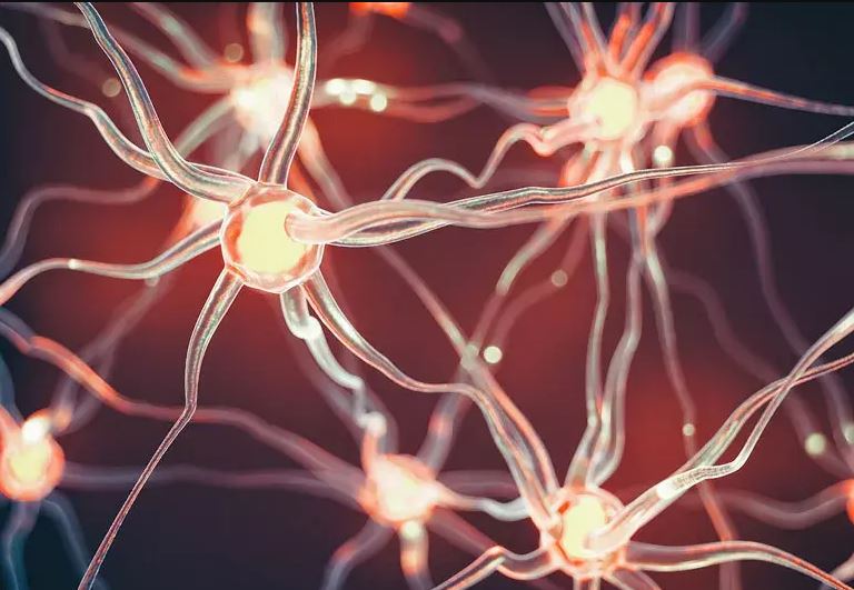 A digital illustration of interconnected neurons with glowing centers and branching extensions, representing neural activity or a brain network against a dark background.